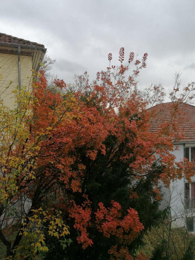 Gaestehaus Goethe-Institut Schwäbisch Hall Dış mekan fotoğraf